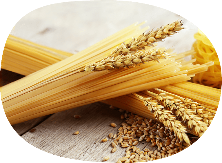 La filosofia Divella: passione mediterranea Immagine di spaghetti e grano